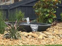 Water Feature